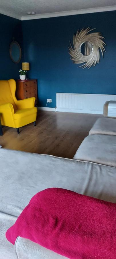 Bellevue Bungalow - Comfortable Home With Amazing Views بلفاست المظهر الخارجي الصورة