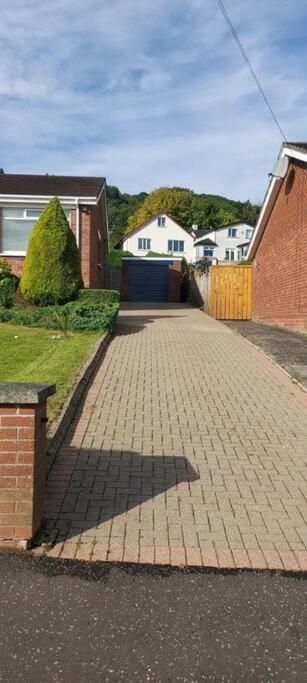 Bellevue Bungalow - Comfortable Home With Amazing Views بلفاست المظهر الخارجي الصورة