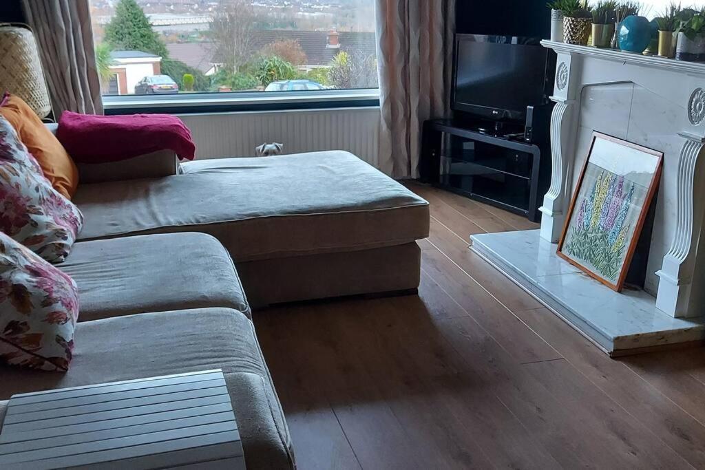 Bellevue Bungalow - Comfortable Home With Amazing Views بلفاست المظهر الخارجي الصورة