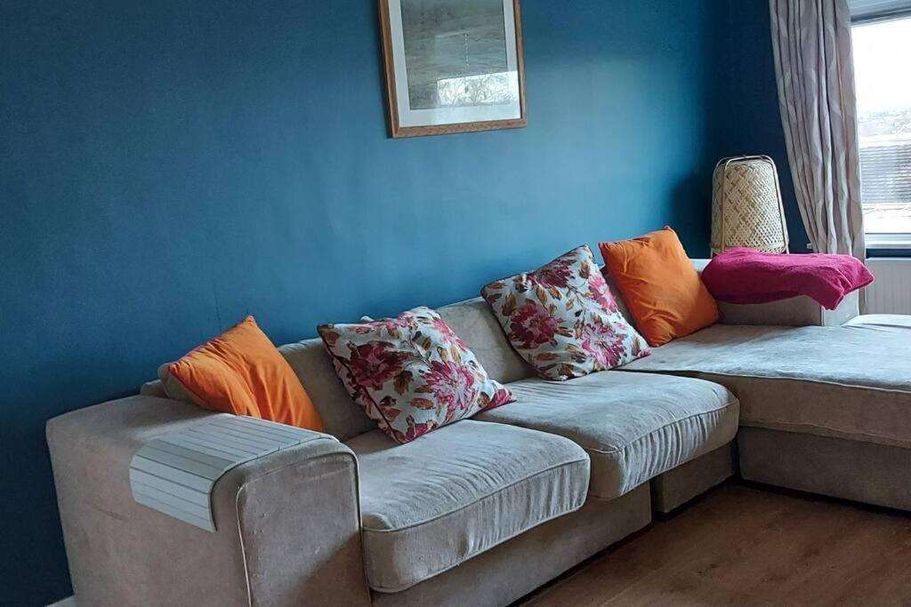 Bellevue Bungalow - Comfortable Home With Amazing Views بلفاست المظهر الخارجي الصورة